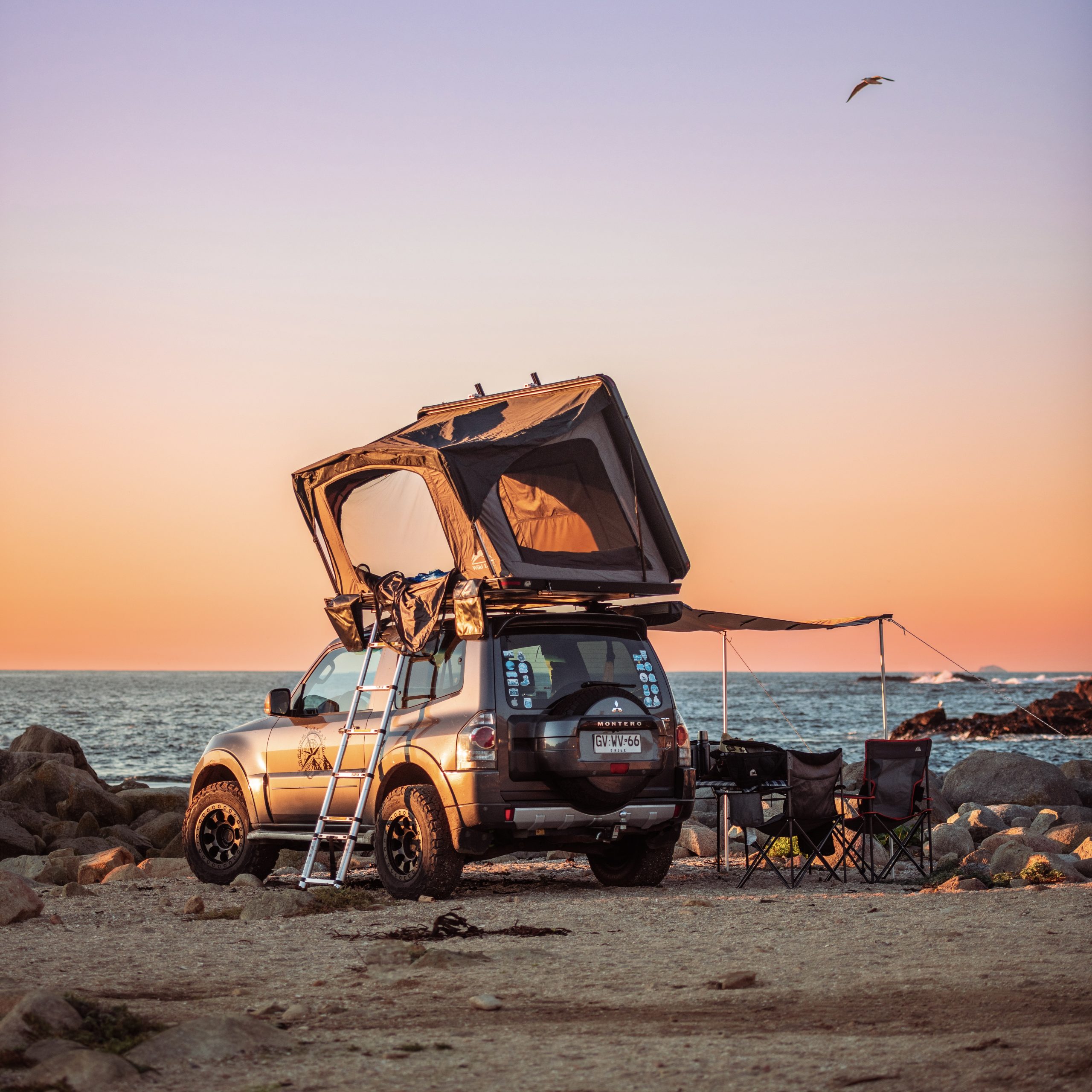 Desert 140 Wild Land