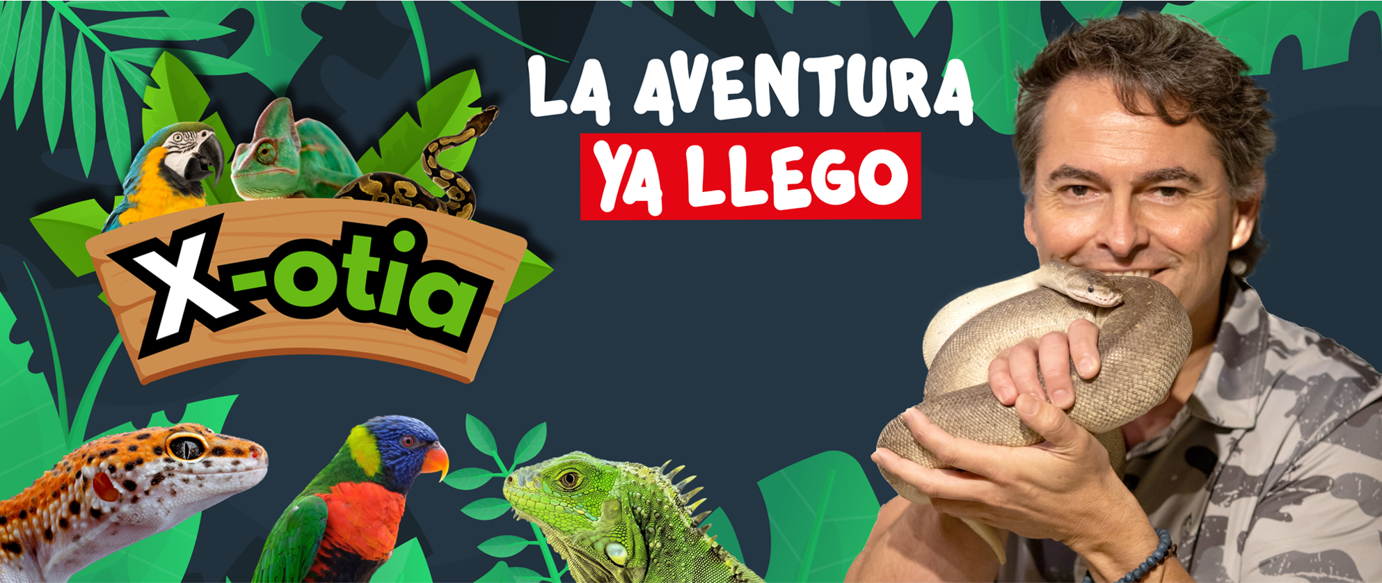 X-Otia vuelve a Mall Sport